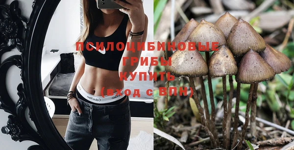 марки nbome Грязи